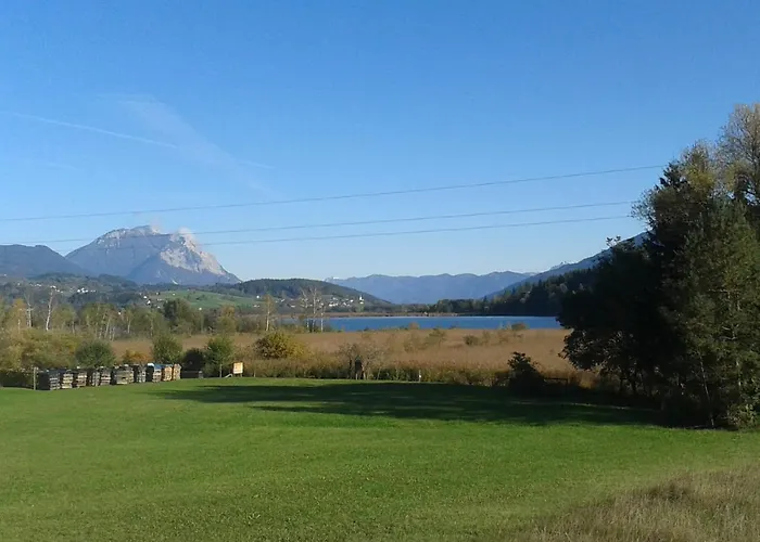 Ferienwohnung Millonigg